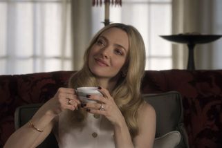 Amanda Seyfriedová: Pomocnice? Nejzábavnější role od Protivných sprostých holek - Novinky